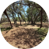Forestry Mulching & Hydro Axing Fischer, TX