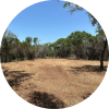 Land Clearing Land ClearingFischer, TX